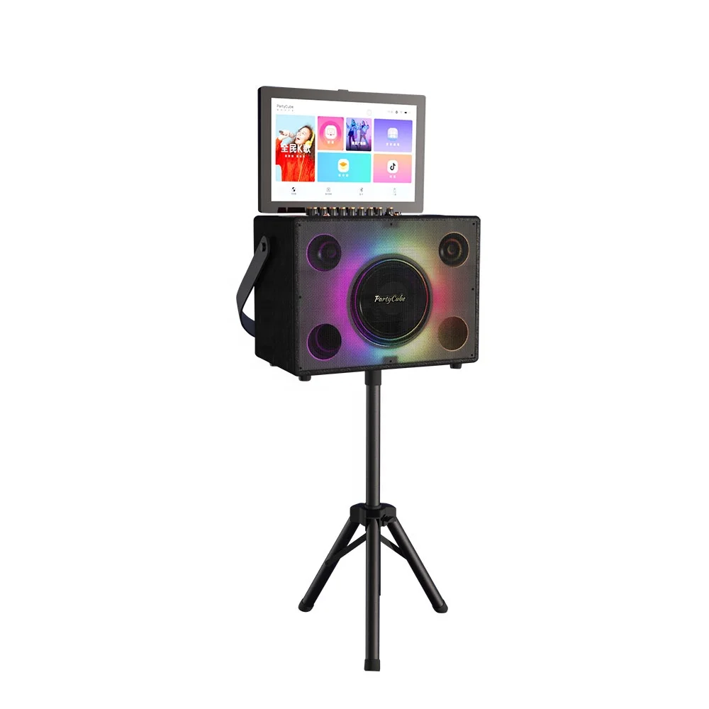 Karaoke Machine Portable With 2 Mic - Entertainment Portable Karaoke Speaker With 2