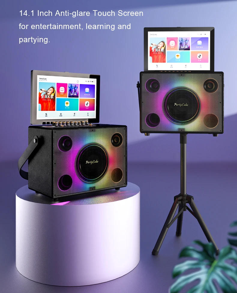 Entertainment Portable Karaoke - Karaoke Machine Portable With 2 Mic review and price