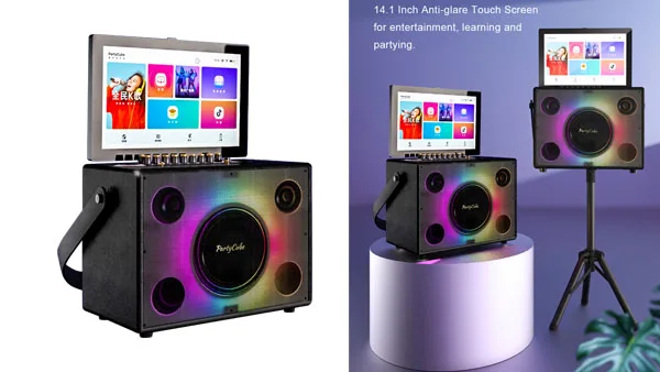 Entertainment Portable Karaoke - Karaoke Machine Portable With 2 Mic review and price