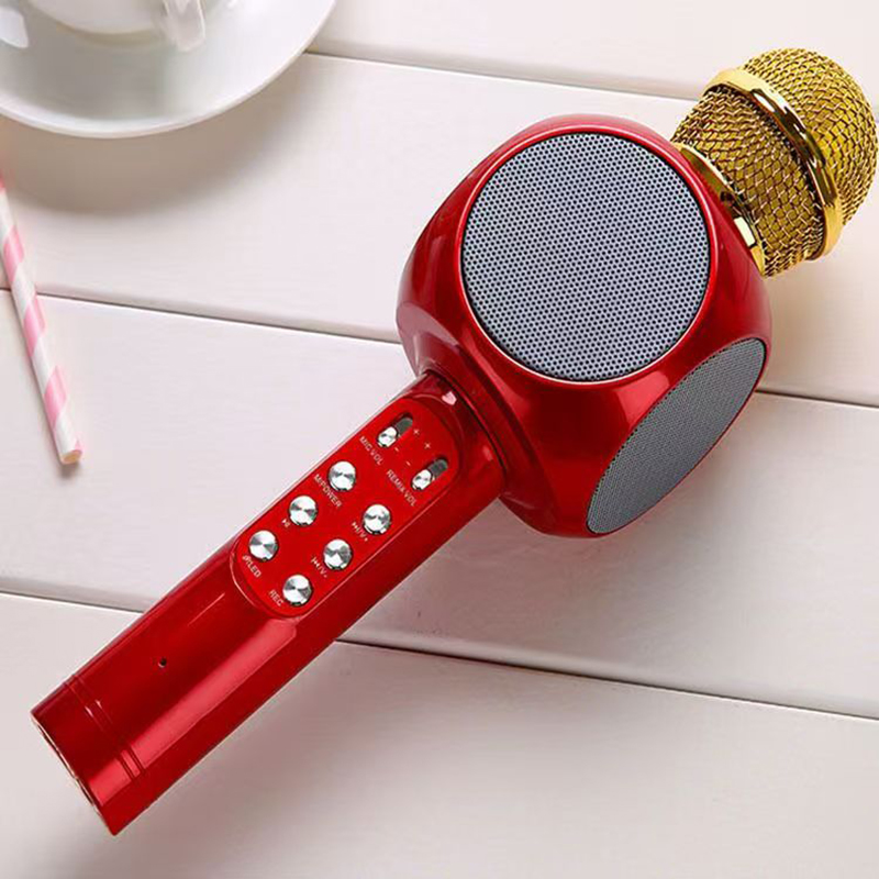 WS1816 Wireless Children Karao - Bluetooth Karaoke Microphone Handheld review and price