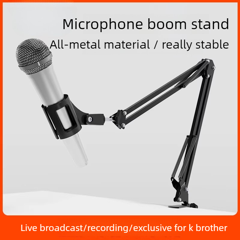 Desktop Microphone Stand Boom  - Microphone Stand Boom Arm Floor review and price
