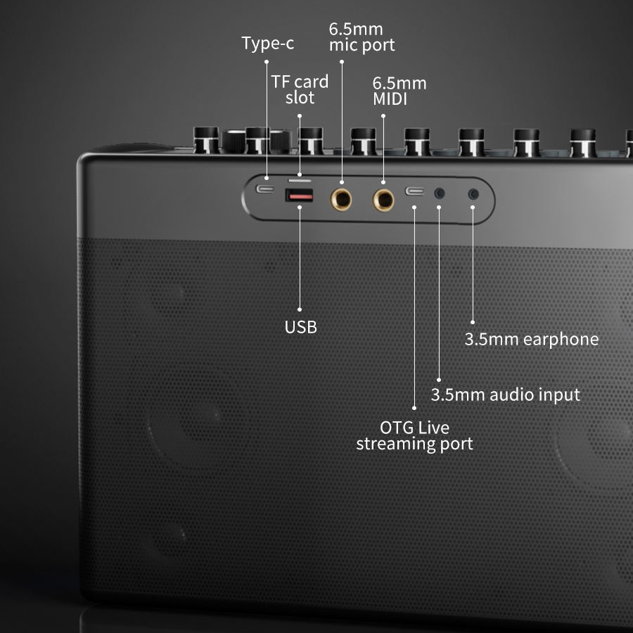 S1127 PLUS 300W Karaoke Machin - Karaoke Machine Portable With 2 Mic review and price