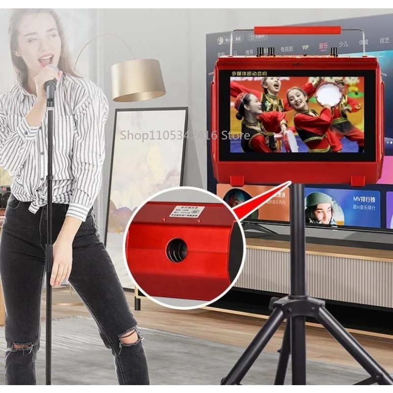 20W Portable Karaoke Machine w - Karaoke Machine Portable With 2 Mic review and price