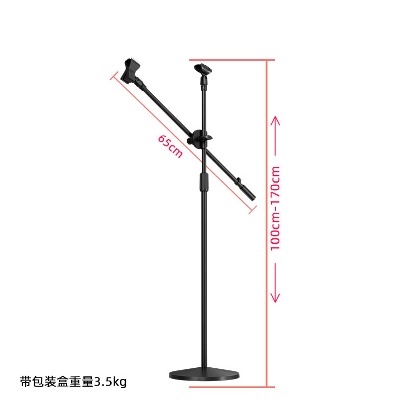 Floor Microphone Stand with We - Microphone Stand Boom Arm Floor review and price