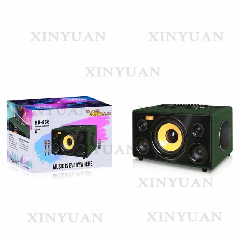 Karaoke Speaker, 8-Inch Wooden - Karaoke Speaker System 100W Rgb review and price