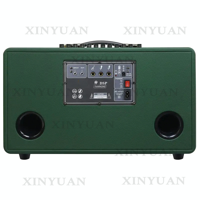 Karaoke Speaker, 8-Inch Wooden - Karaoke Speaker System 100W Rgb review and price
