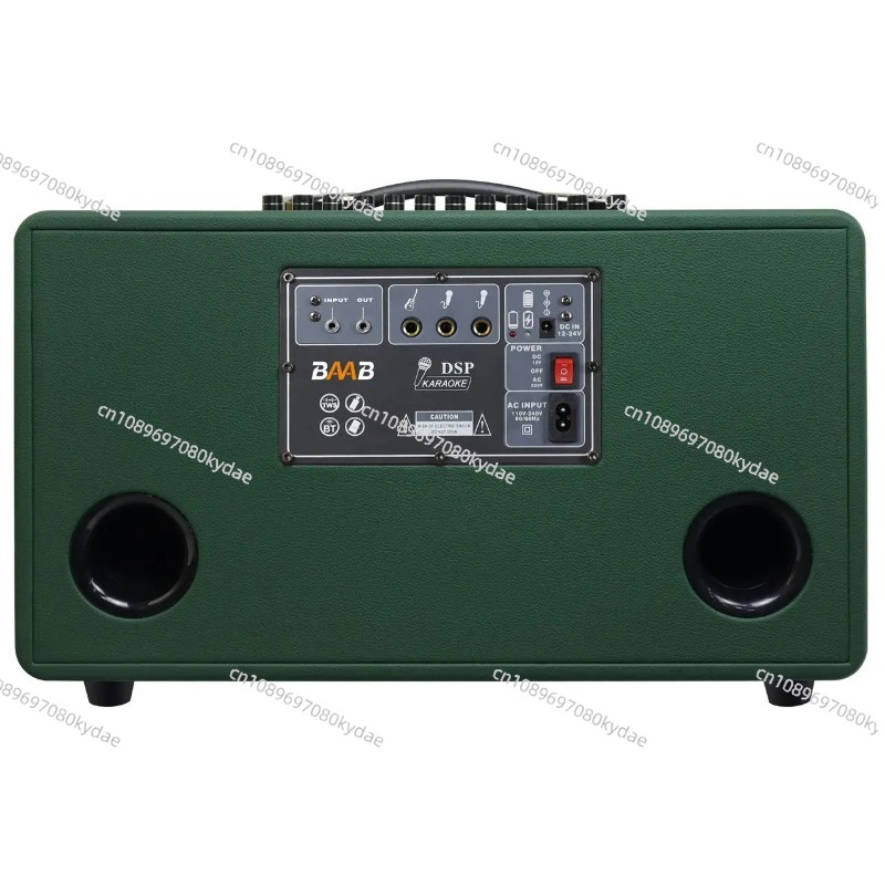 Professional 8-Inch HIFI Bass  - Karaoke Speaker System 100W Rgb review and price