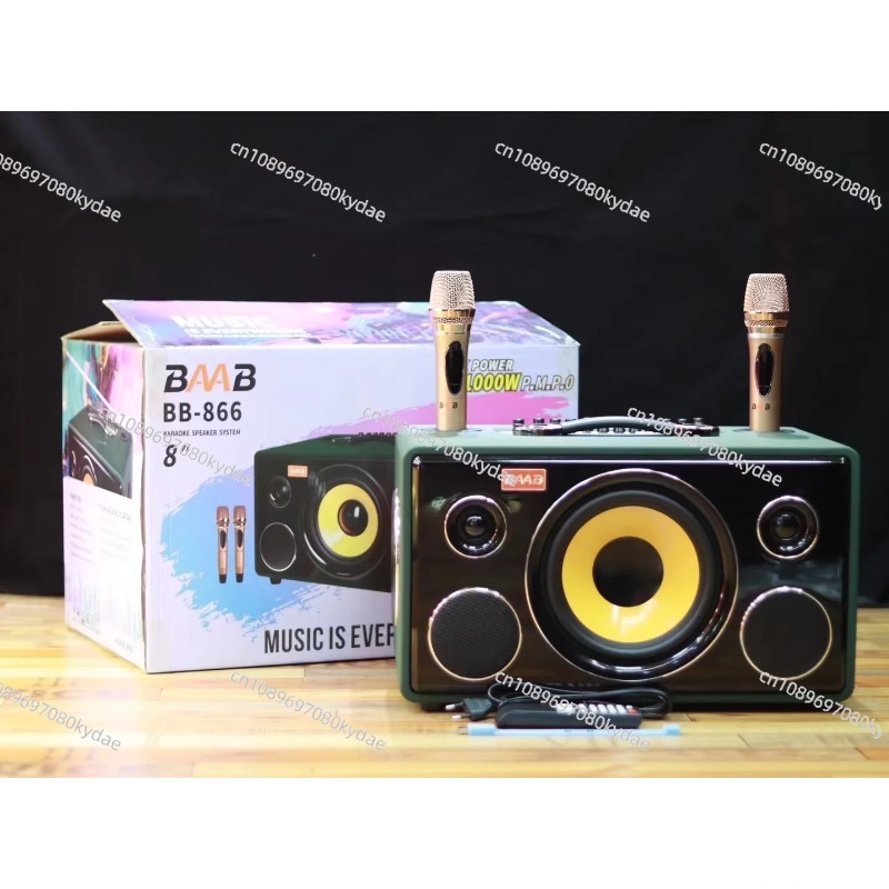 Professional 8-Inch HIFI Bass  - Karaoke Speaker System 100W Rgb review and price