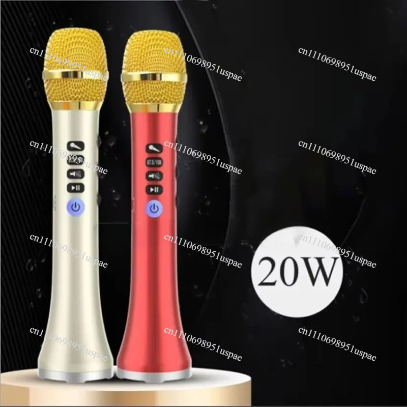 L-698DSP 20W Wireless Micropho - Bluetooth Karaoke Microphone Handheld review and price