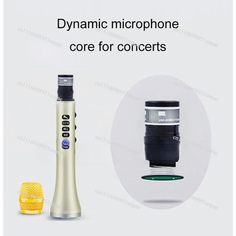 L-698DSP 20W Wireless Micropho - Bluetooth Karaoke Microphone Handheld review and price