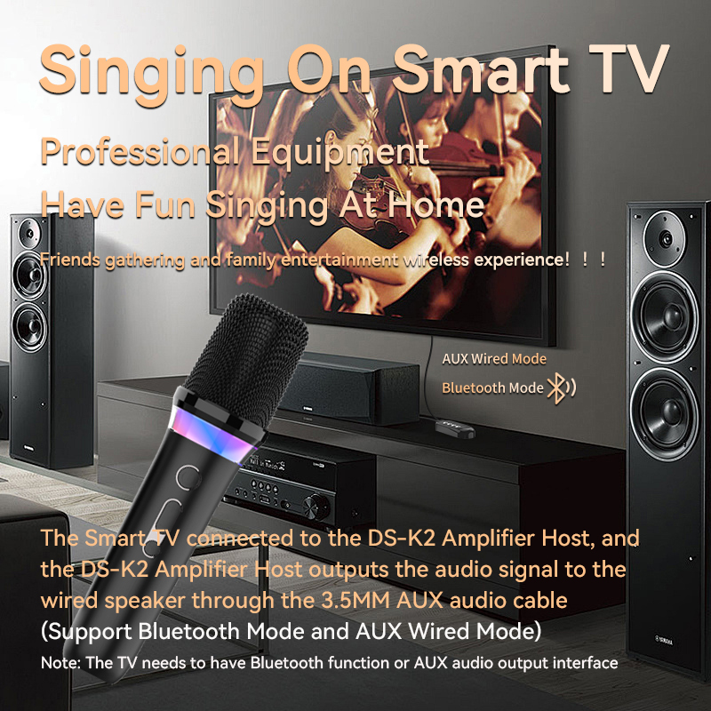 Karaoke Companion Wireless Mic - Karaoke Amplifier Mixer Bluetooth review and price