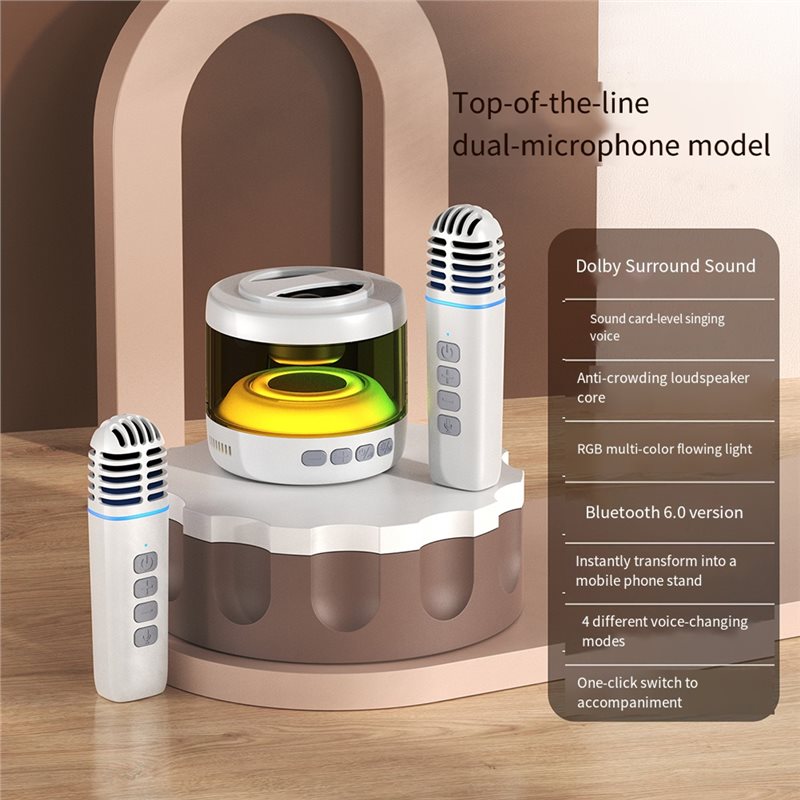 AA60 Microphone Speaker Magnet - Bluetooth Karaoke Microphone Handheld review and price
