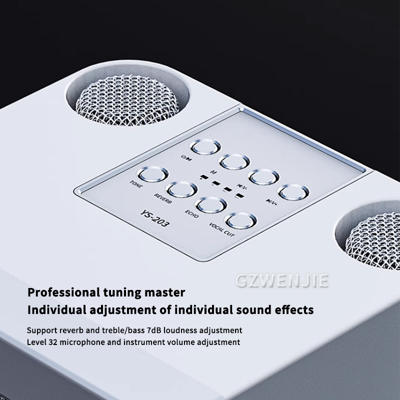 Portable Dual Microphone Karao - Karaoke Machine Portable With 2 Mic review and price