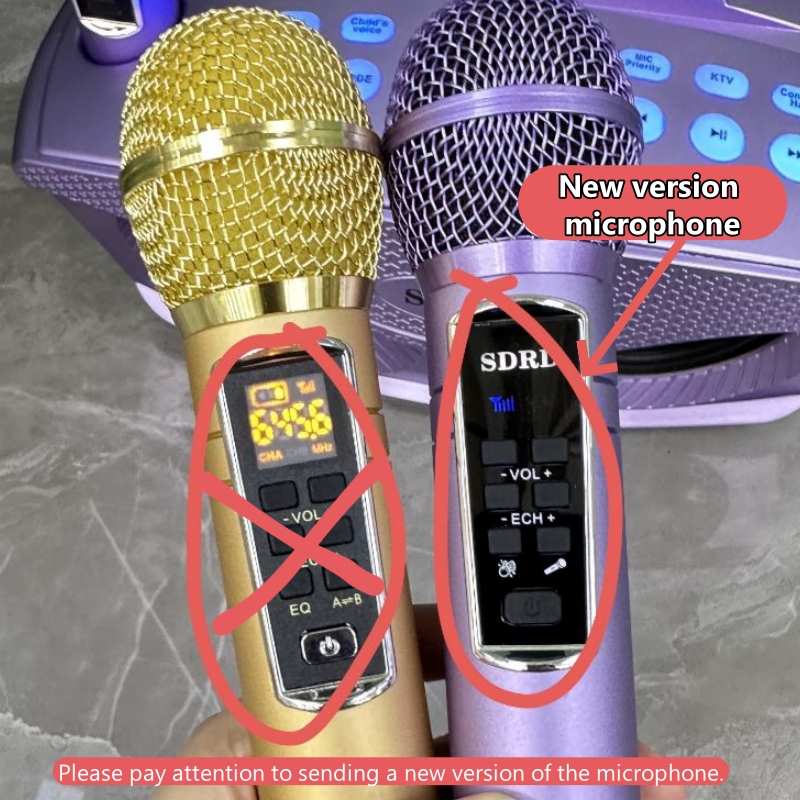 SD306Plus Professional Karaoke - Karaoke Machine Portable With 2 Mic review and price