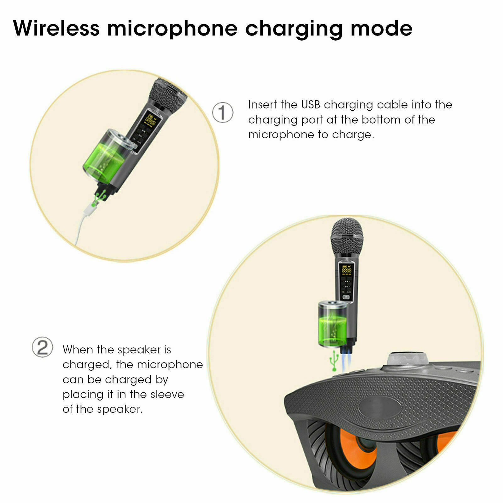 SD306Plus Professional Karaoke - Karaoke Machine Portable With 2 Mic review and price