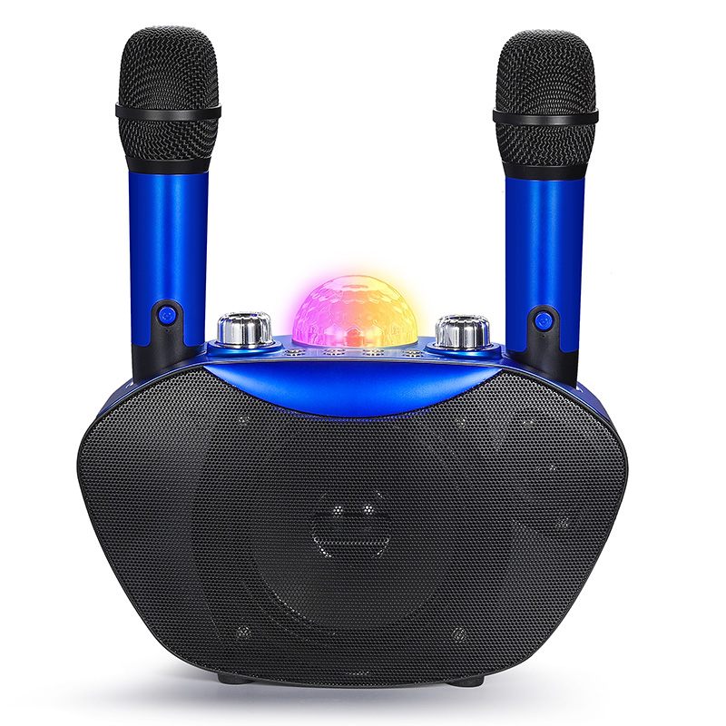 Mini Subwoofer Speaker Portabl - Bluetooth Karaoke Microphone Handheld review and price