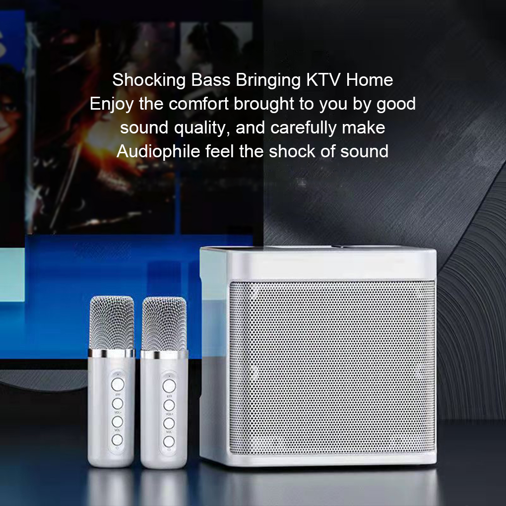 Portable Dual Microphone Karao - Karaoke Machine Portable With 2 Mic review and price