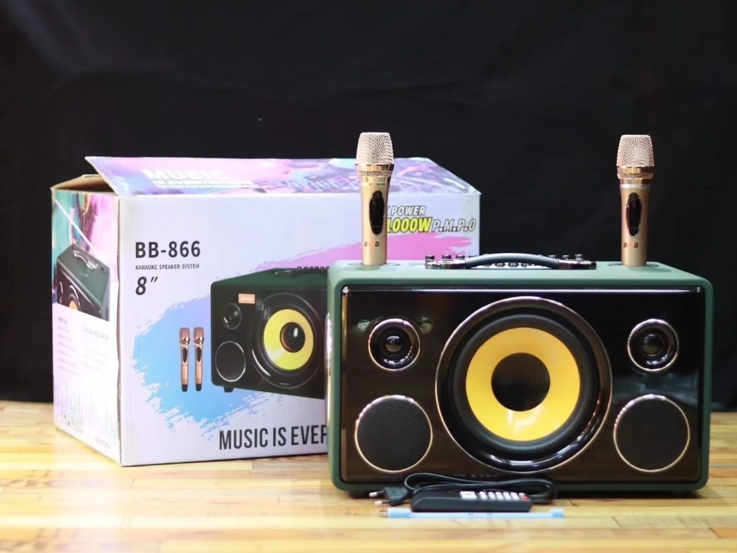 Professional 8-Inch HIFI Bass  - Karaoke Speaker System 100W Rgb review and price