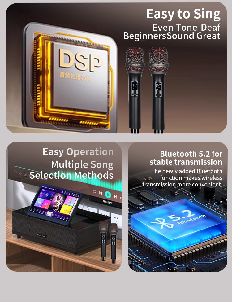 Touch Screen Karaoke Machine w - Karaoke Machine Portable With 2 Mic review and price