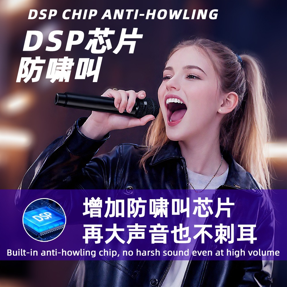 Universal with DSP anti-howlin - Bluetooth Karaoke Microphone Handheld review and price
