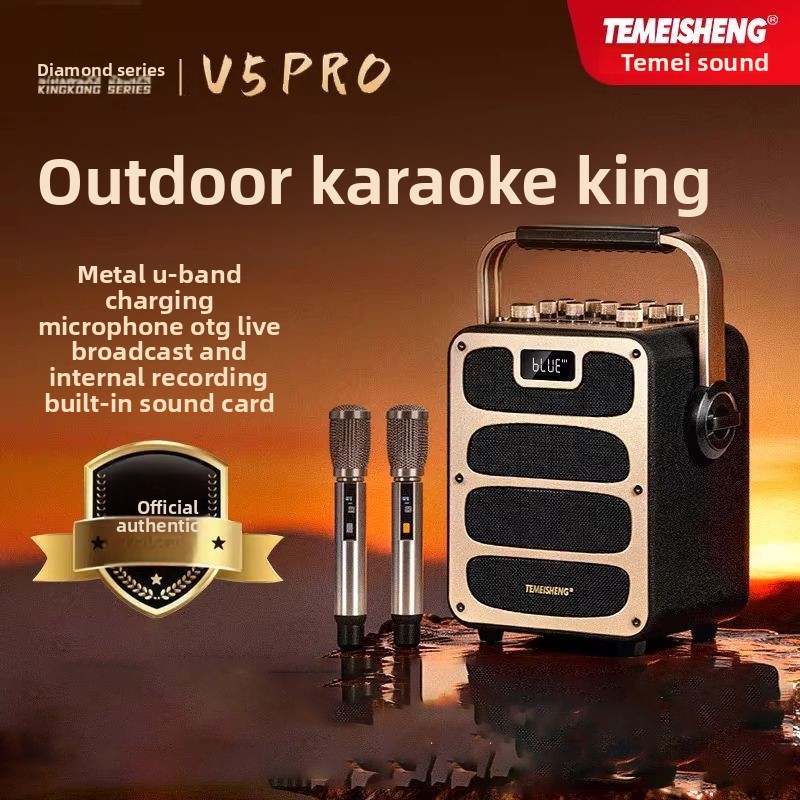 For TEMEISHENG V5Pro Bluetooth - Pa Sound System Battery Portable Outdoor review and price