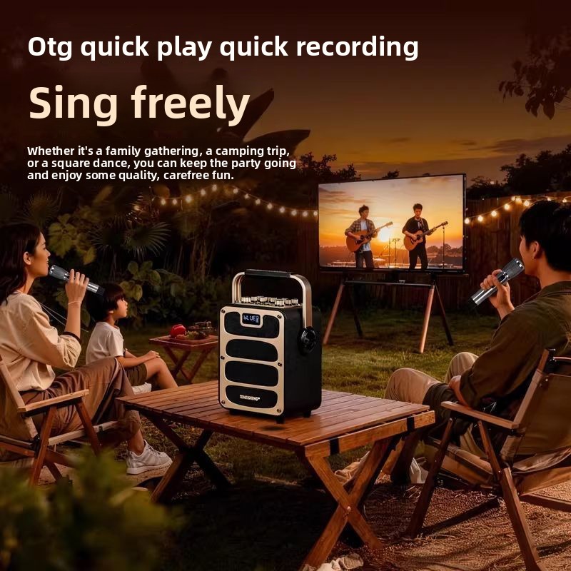 For TEMEISHENG V5Pro Bluetooth - Pa Sound System Battery Portable Outdoor review and price