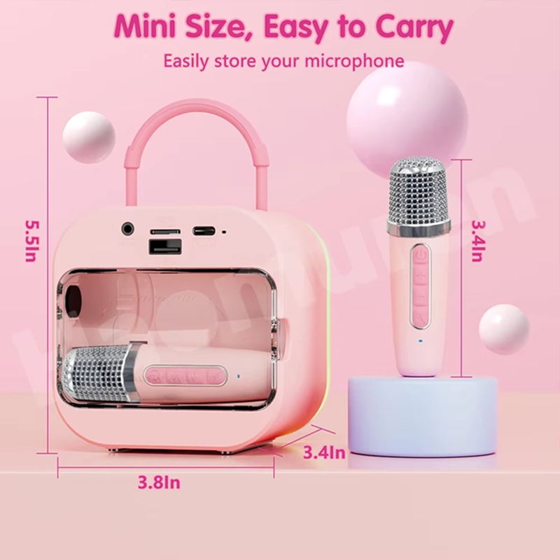LZQLY Mini Karaoke Machine for - Karaoke Machine Portable With 2 Mic review and price