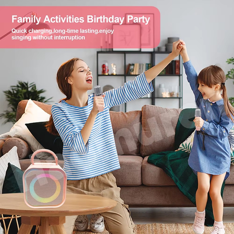LZQLY Mini Karaoke Machine for - Karaoke Machine Portable With 2 Mic review and price