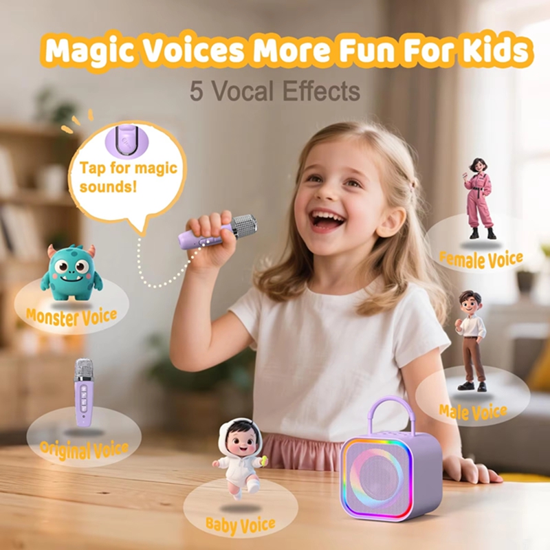 LZQLY Mini Karaoke Machine for - Karaoke Machine Portable With 2 Mic review and price