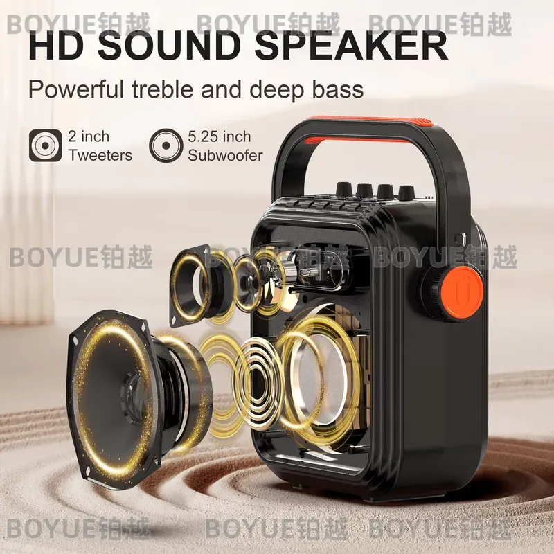 Portable Karaoke Machine with  - Karaoke Machine Portable With 2 Mic review and price