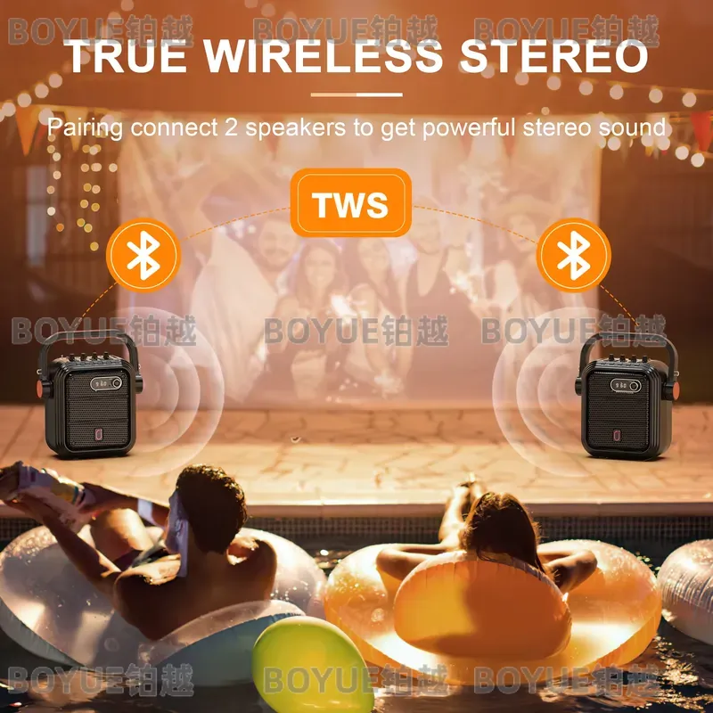 Portable Karaoke Machine with  - Karaoke Machine Portable With 2 Mic review and price